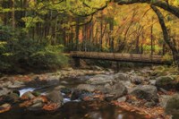Greenbrier Bridge With Stream Watercolor Fine Art Print