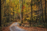 Greenbrier Path Fine Art Print