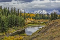 Gtnp Fall Color With Mountains Fine Art Print