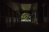 Horse Farm Barn (Inside And Out) Fine Art Print