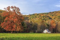 Little House In The Fall Fine Art Print