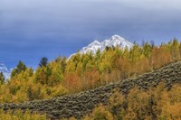 Mountain Fall Color Fine Art Print