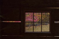 Roaring Fork Cabin Window Fine Art Print