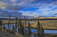 S Curve Hayden Valley Fine Art Print