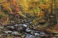Tremont Stream Watercolor Fine Art Print