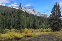 Yellowstone Sbc Landscape Fine Art Print
