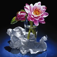 A Day In A Life Fine Art Print