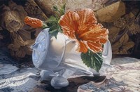 Lets Go Fly Fine Art Print