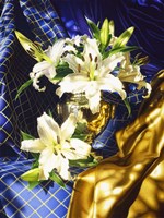 Rosegarden Fine Art Print