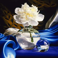 Solitaire Fine Art Print