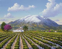 Mount St Helena Framed Print