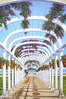 Arches Fine Art Print