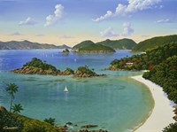 Trunk Bay - Virgin Islands Fine Art Print