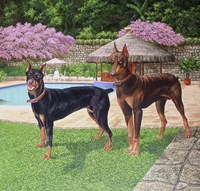 Best Friends Fine Art Print