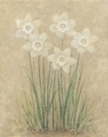 White Tulips Fine Art Print