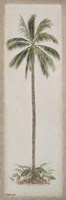 Single Palm tree Fine Art Print