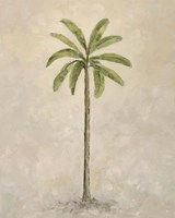 Palm Tree 2 Fine Art Print
