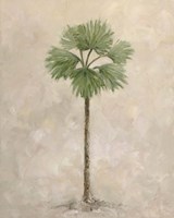 Palm Tree 3 Fine Art Print