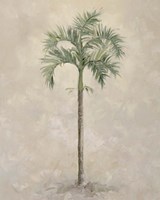 Palm Tree 4 Fine Art Print