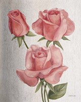 American Classic Rose Fine Art Print