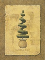 Clipped Yew Fine Art Print
