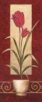 Tulips In Pot Fine Art Print