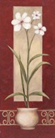White Flowers In Pot 2 Fine Art Print