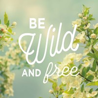 Spring Beauty II Square Fine Art Print