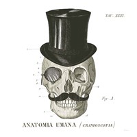 Dandy Bones I Fine Art Print