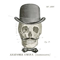 Dandy Bones IV Fine Art Print