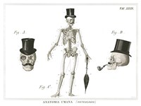 Dandy Bones Fine Art Print