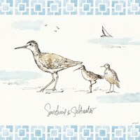 Sandpiper Sea II Fine Art Print