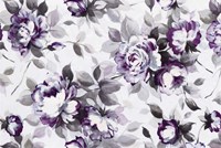 Scent of Roses Plum Fine Art Print