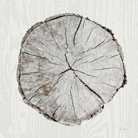 Woodland Years I Fine Art Print