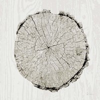 Woodland Years II Framed Print