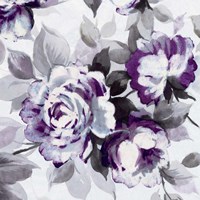 Scent of Roses Plum III Fine Art Print