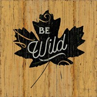 Lake Lodge IX Framed Print