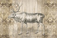 Natural History Lodge IX Fine Art Print