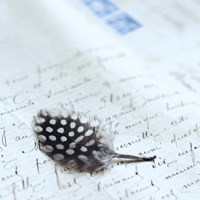 Plume Letters I Fine Art Print