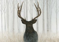 Into the Forest Fine Art Print