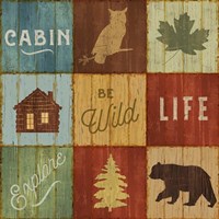 Lake Lodge VIII Fine Art Print