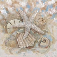 Beach Prize IV Fine Art Print