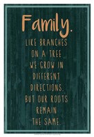 Spice Family Rules III Framed Print