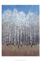 Cobalt Birches I Framed Print