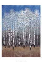 Cobalt Birches II Fine Art Print