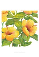 Watercolor Hibiscus IV Fine Art Print