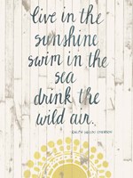 Sun Quote IV Framed Print