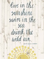 Sun Quote IV Fine Art Print