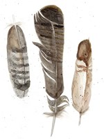 Earthtone Feathers I Fine Art Print