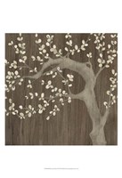 Driftwood Cherry II Fine Art Print